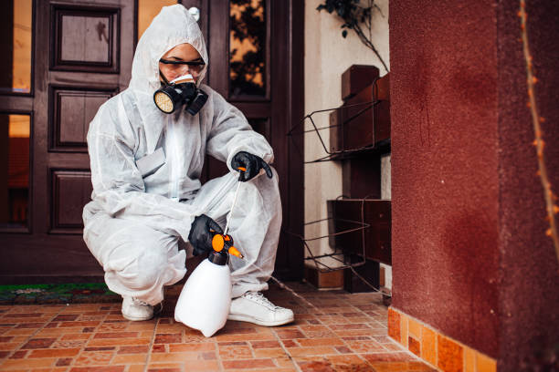 Reliable Wasp Removal contractor in MacDonnell Heights, NY by Show Me Pest Control