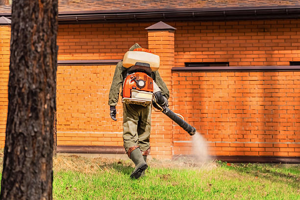 Top rated local Wasp Removal specialists in MacDonnell Heights, NY